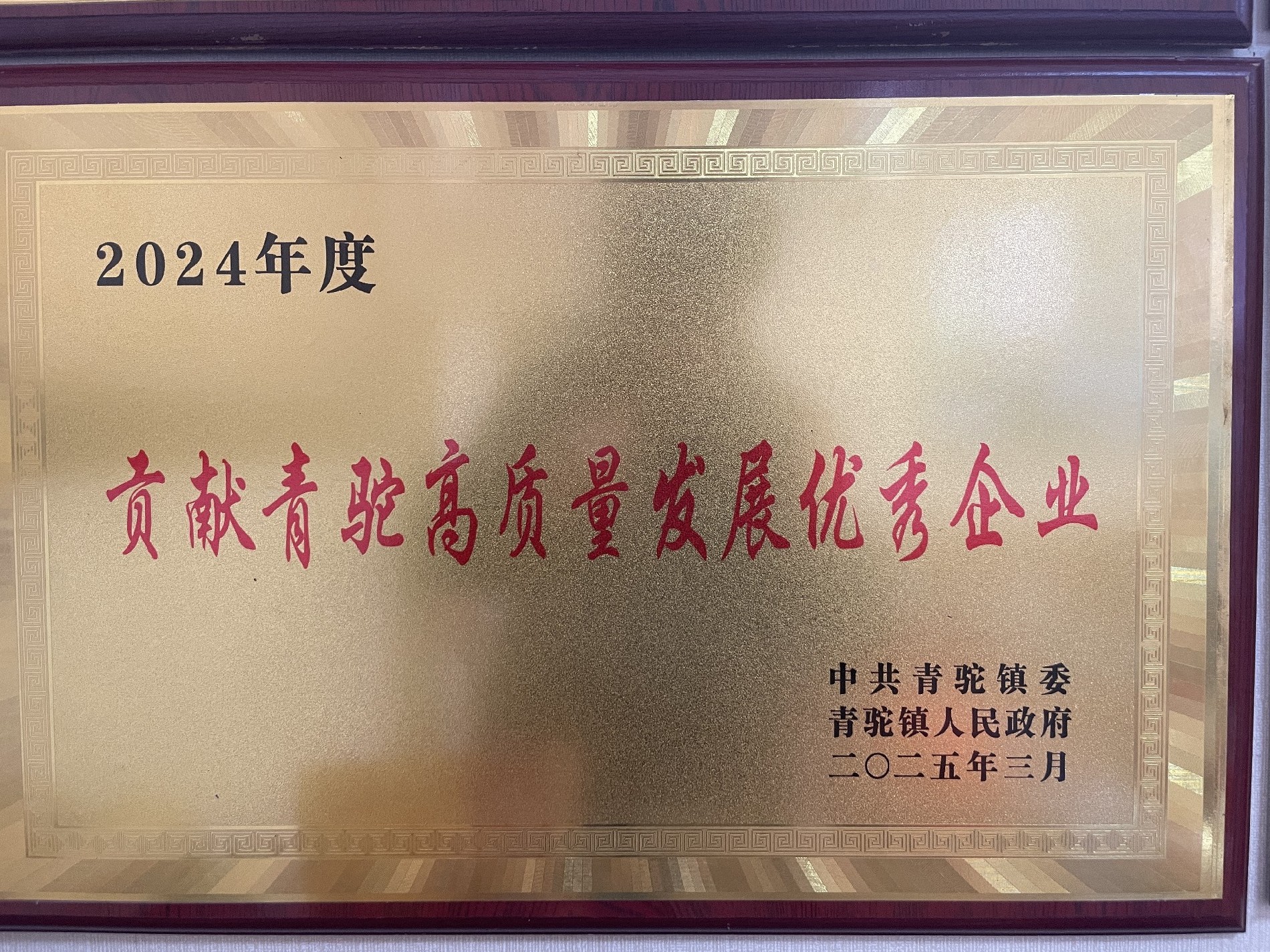 2024年度貢獻青駝高質量發(fā)展優(yōu)秀企業(yè)