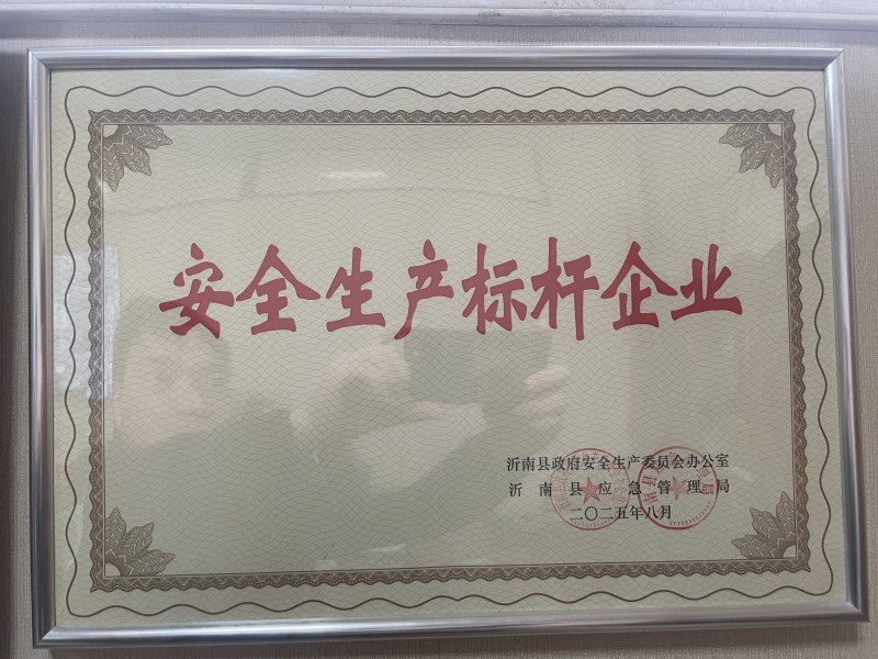 安全生產標桿企業(yè)